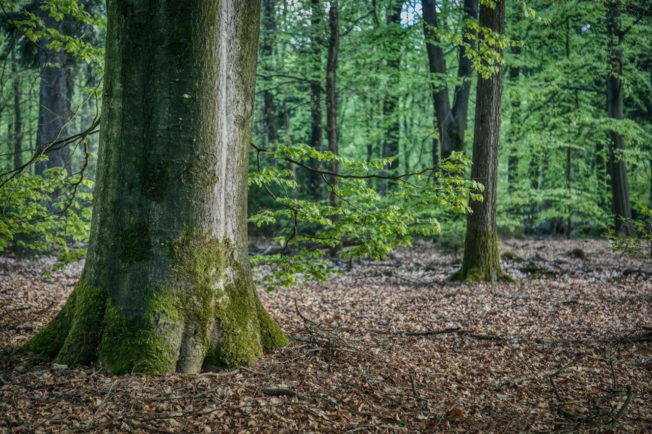 Van Abelshoeve Gieterveen Экстерьер фото